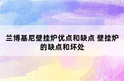 兰博基尼壁挂炉优点和缺点 壁挂炉的缺点和坏处